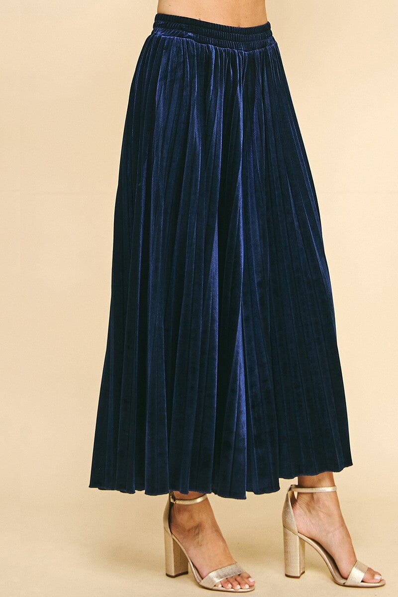 Blue Pleated Pants Pinch