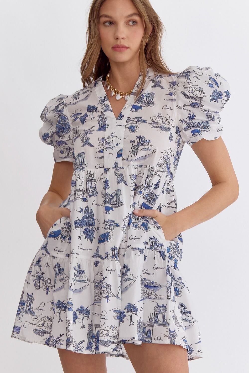 Blue Tropical Toille Puff Sleeve Dress entro