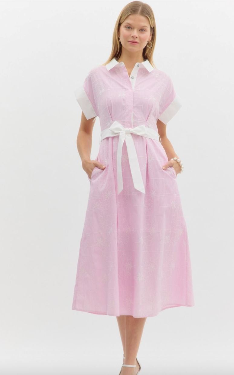 Floral Embroidered Stripe Button Down Dress entro