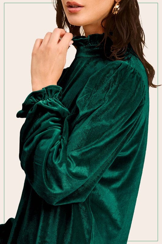 Frilled Neck Velvet Blouse LA MIEL