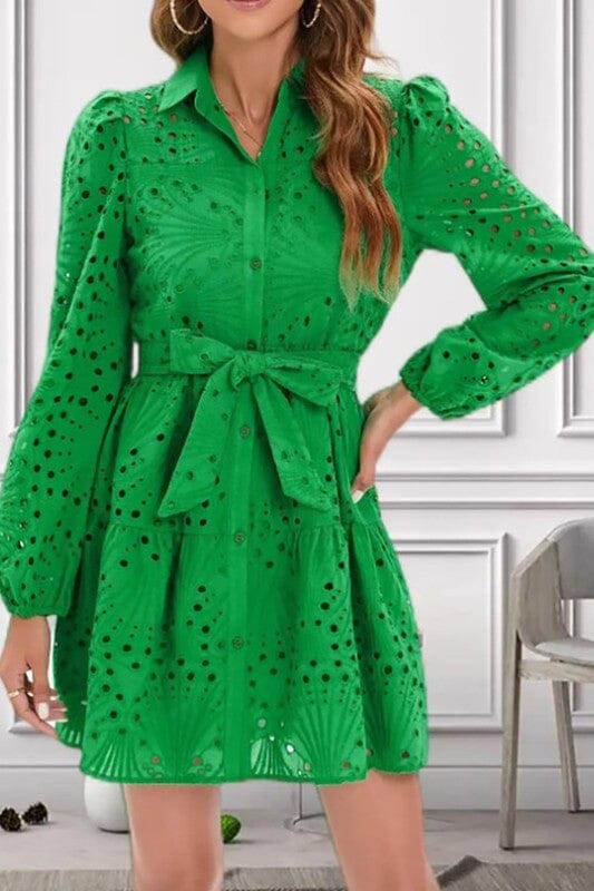 Green Long Sleeve Hollow Out Eyelet Dress cezele