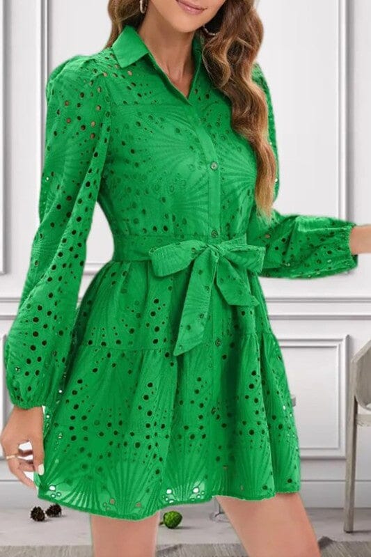 Green Long Sleeve Hollow Out Eyelet Dress cezele