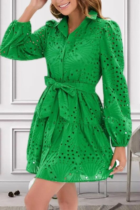 Green Long Sleeve Hollow Out Eyelet Dress cezele