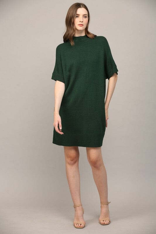 Hunter Mock Neck Sweater Dress Fate