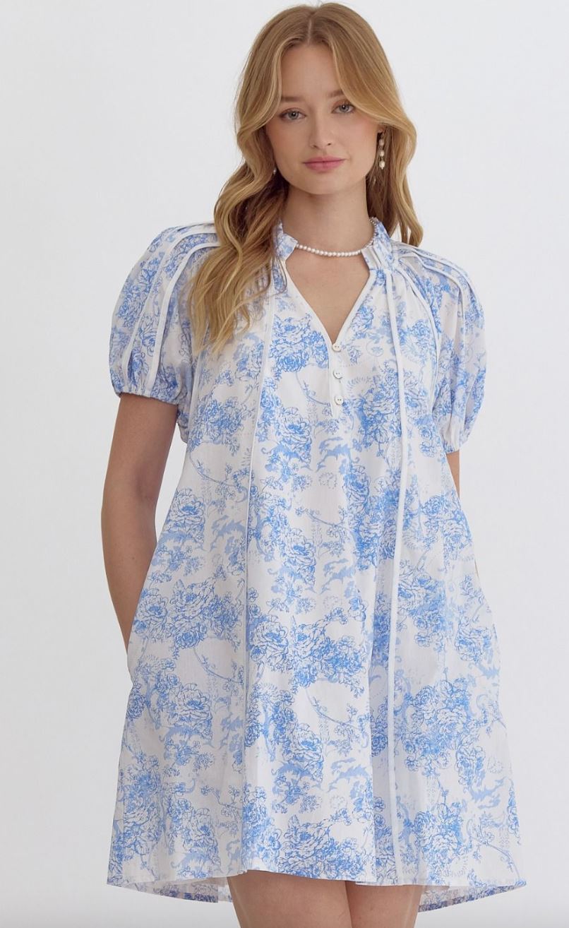 Misty Blue Toile Dress entro