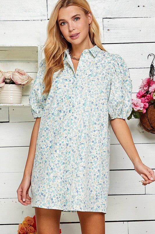 Blue Puff Sleeve Button Down Dress sweet lemon