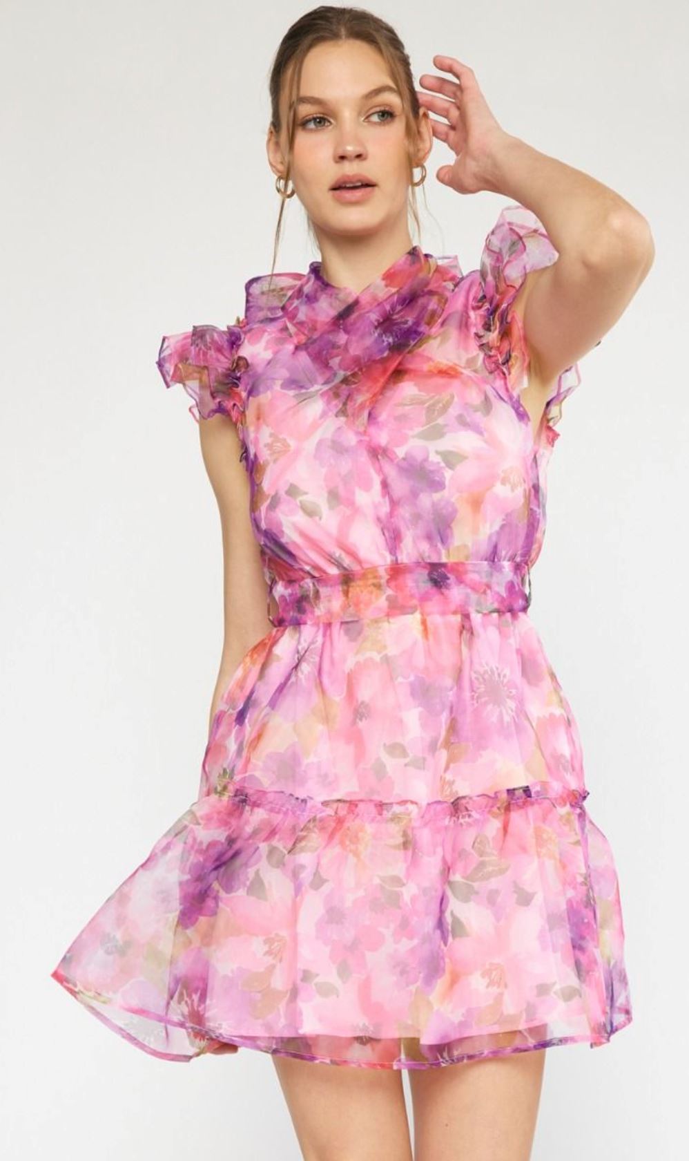 Floral Print Organza Dress entro