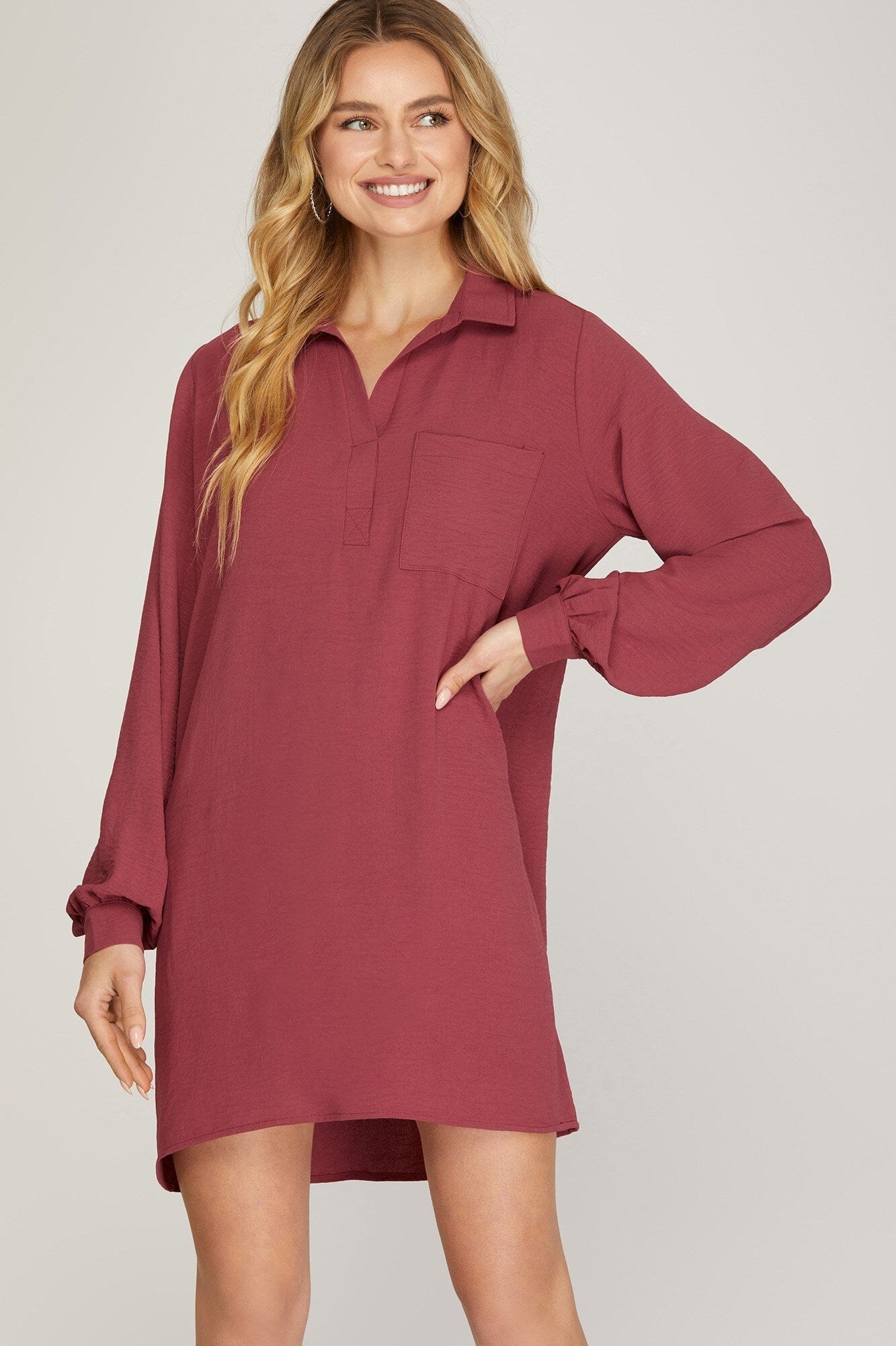 Collared Loose Fitting Pocket Dress she + sky 