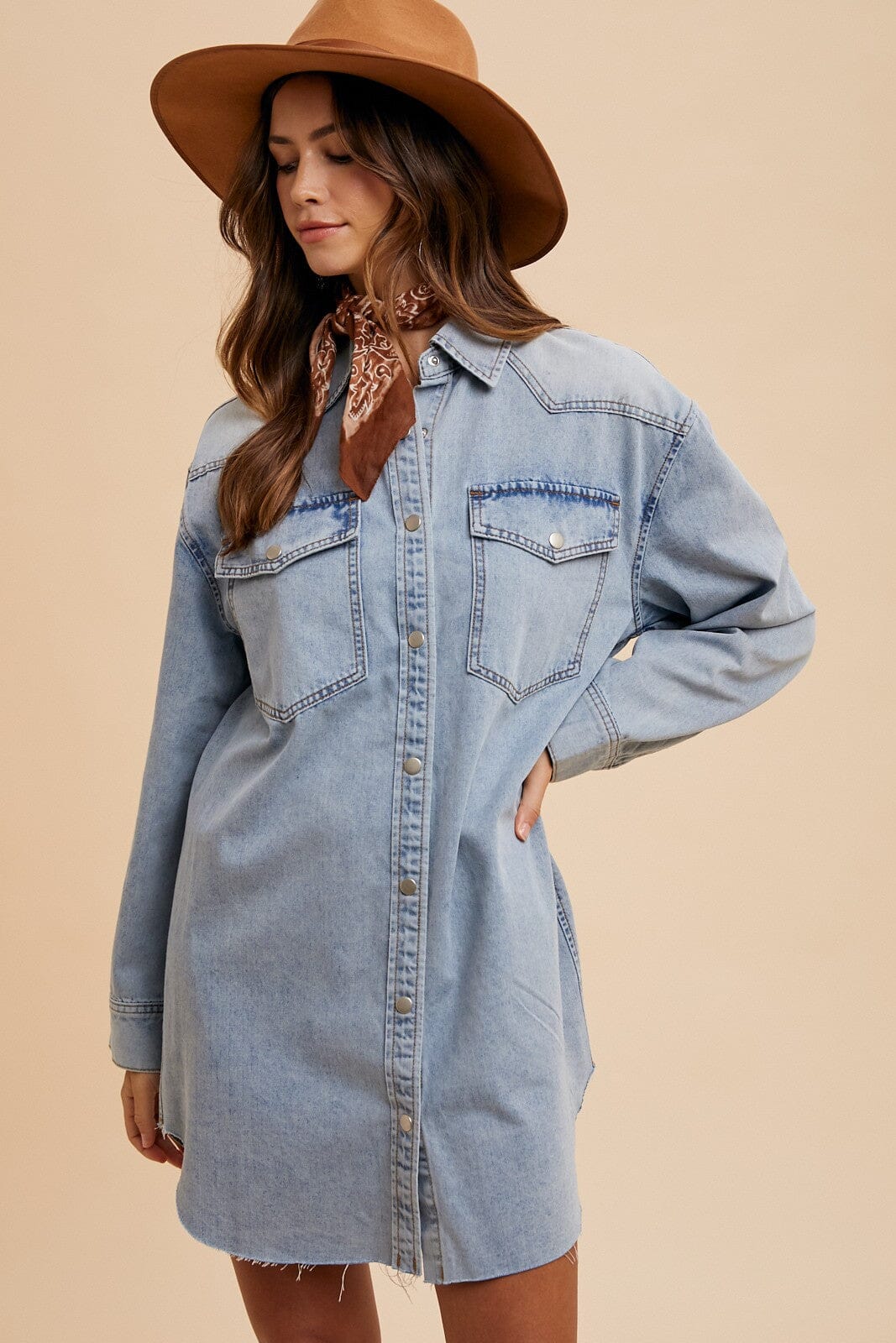 DENIM BUTTON DOWN SHIRT DRESS Annie Wear 