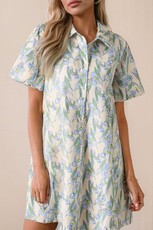 Iris Collared Popover Dress Shewin 