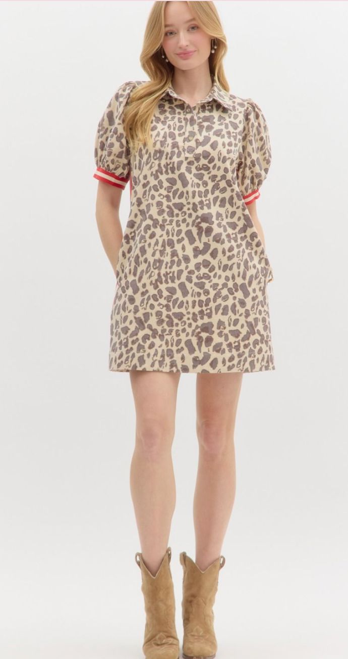 Leopard Print Multicolor Band entro 