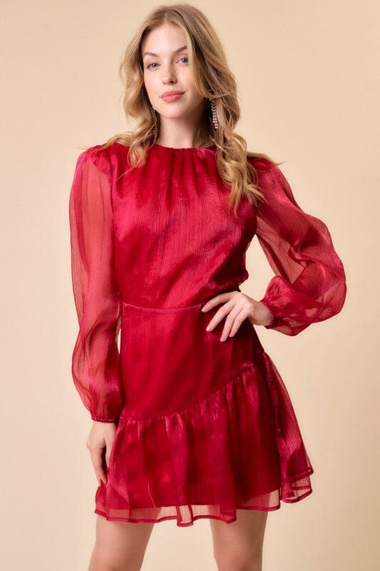 Organza Ruffled Dress Main Strip 