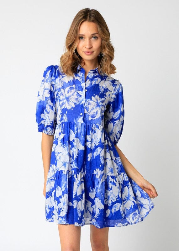 Blue and White Freya Dress Olivaceous 