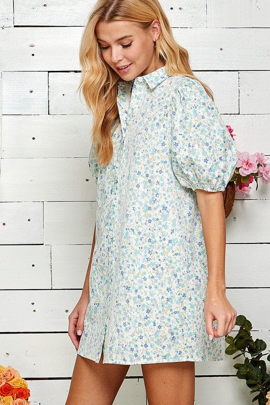 Blue Puff Sleeve Button Down Dress sweet lemon 