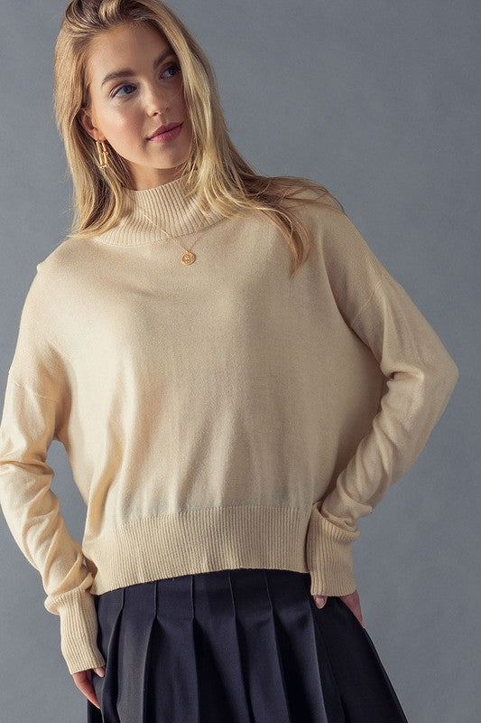 Contrast Trim High Neck Sweater Trend Notes 