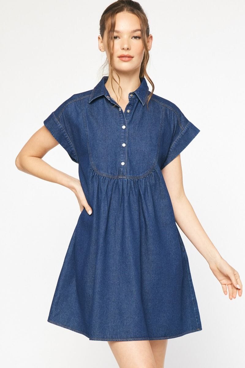 Denim Dress entro 