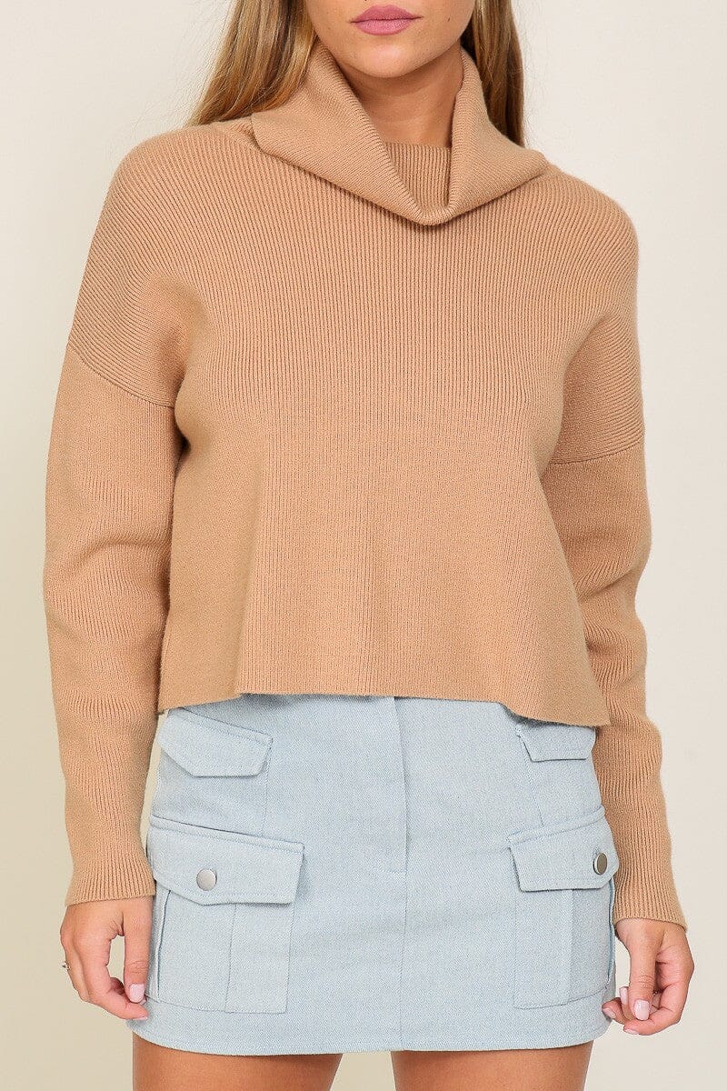 Long Sleeve Knit Turtleneck Sweater lumiere 