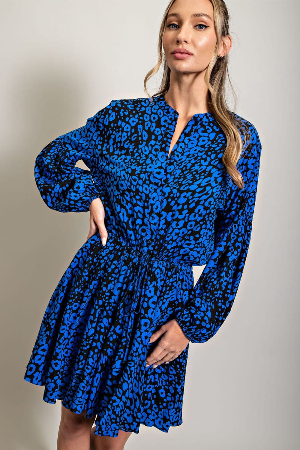 Royal Blue Animal Print Flare Dress Eesome 